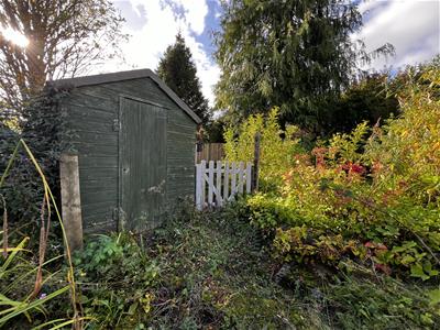 Picture 29